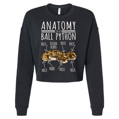 Python Snake Owner Anatomy Of A Ball Python Cropped Pullover Crew