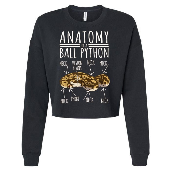 Python Snake Owner Anatomy Of A Ball Python Cropped Pullover Crew