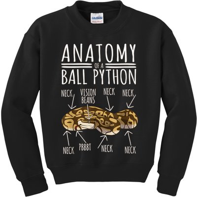 Python Snake Owner Anatomy Of A Ball Python Kids Sweatshirt