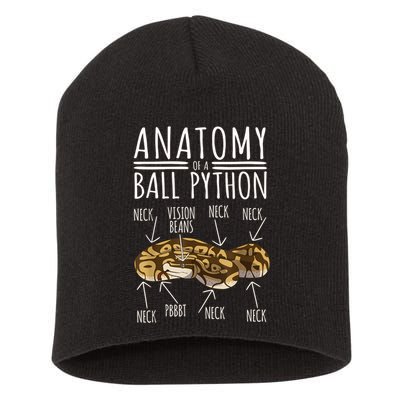 Python Snake Owner Anatomy Of A Ball Python Short Acrylic Beanie