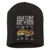 Python Snake Owner Anatomy Of A Ball Python Short Acrylic Beanie