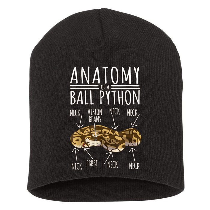 Python Snake Owner Anatomy Of A Ball Python Short Acrylic Beanie