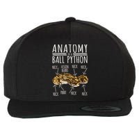 Python Snake Owner Anatomy Of A Ball Python Wool Snapback Cap