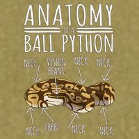 Python Snake Owner Anatomy Of A Ball Python Garment-Dyed Women's Muscle Tee
