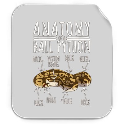 Python Snake Owner Anatomy Of A Ball Python Permanent Decal Sticker
