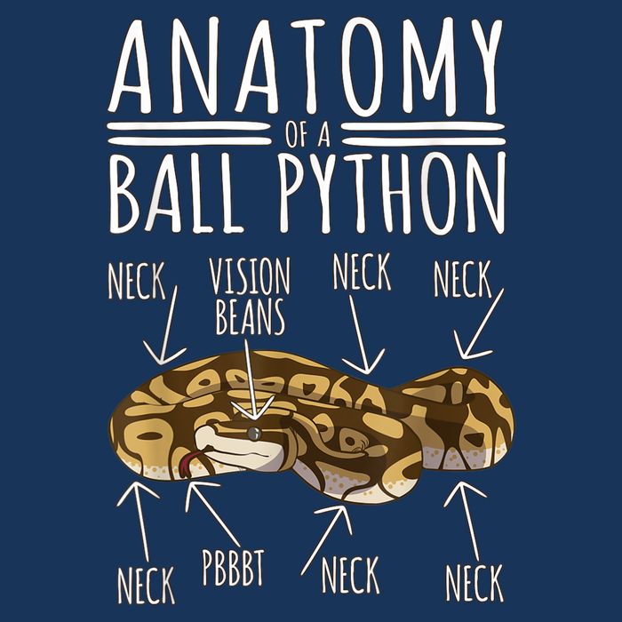 Python Snake Owner Anatomy Of A Ball Python Infant Baby Jersey Bodysuit