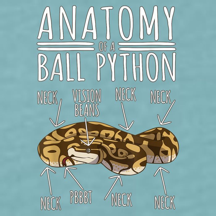 Python Snake Owner Anatomy Of A Ball Python Sueded Cloud Jersey T-Shirt