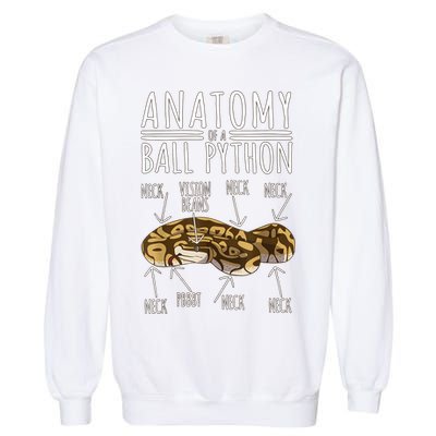 Python Snake Owner Anatomy Of A Ball Python Garment-Dyed Sweatshirt
