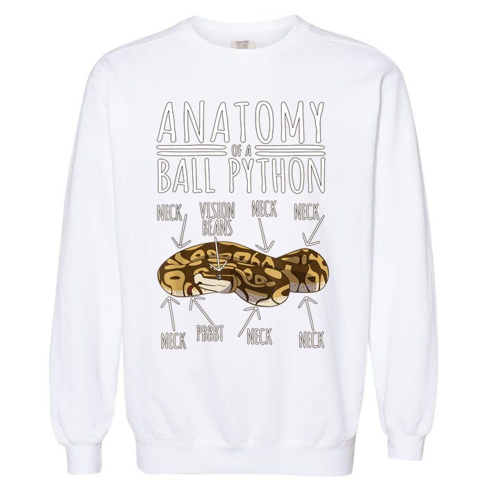 Python Snake Owner Anatomy Of A Ball Python Garment-Dyed Sweatshirt