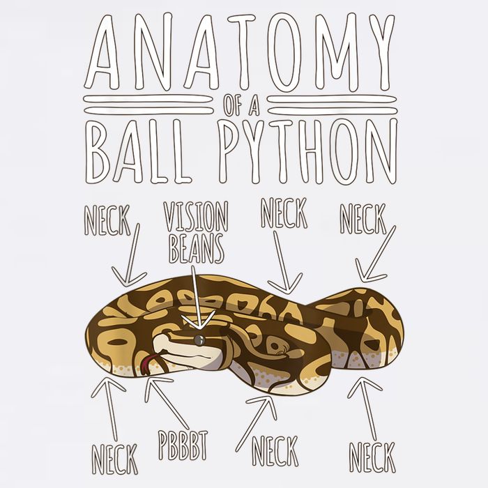 Python Snake Owner Anatomy Of A Ball Python Garment-Dyed Sweatshirt
