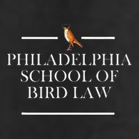 Philadelphia School Of Bird Law Adult Drive Performance Visor