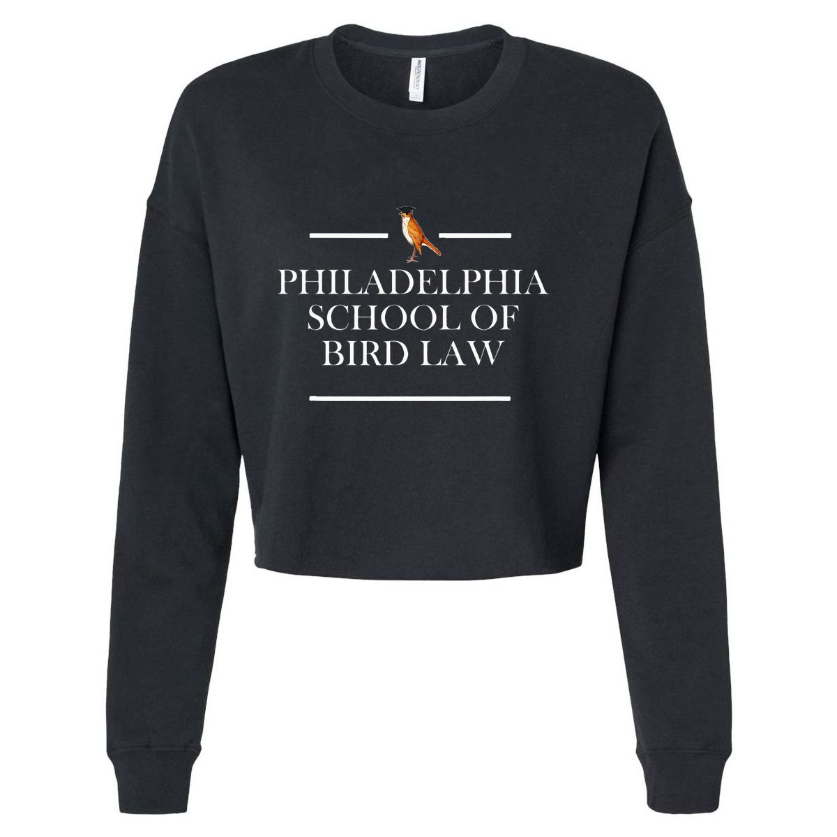 Philadelphia School Of Bird Law Cropped Pullover Crew