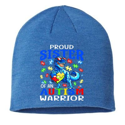 Proud Sister Of An Autism Warrior Dinosaur Gift Sustainable Beanie