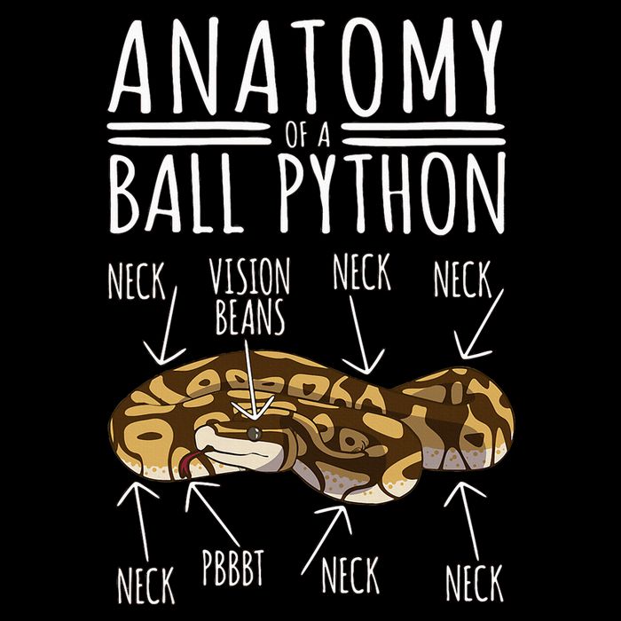 Python Snake Owner Anatomy Of A Ball Python Drawstring Bag