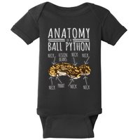 Python Snake Owner Anatomy Of A Ball Python Baby Bodysuit