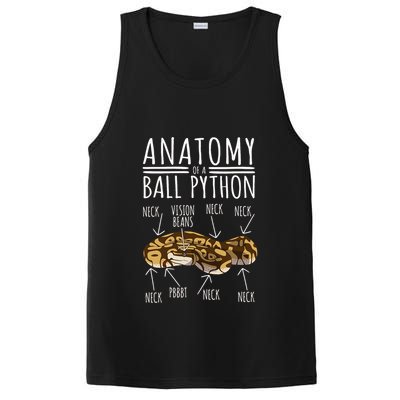 Python Snake Owner Anatomy Of A Ball Python PosiCharge Competitor Tank