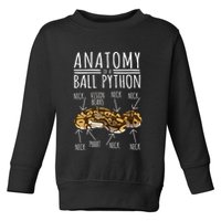 Python Snake Owner Anatomy Of A Ball Python Toddler Sweatshirt