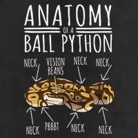 Python Snake Owner Anatomy Of A Ball Python Trucker Hat