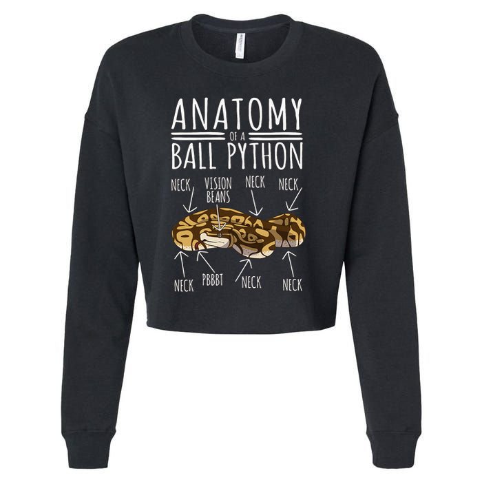 Python Snake Owner Anatomy Of A Ball Python Cropped Pullover Crew