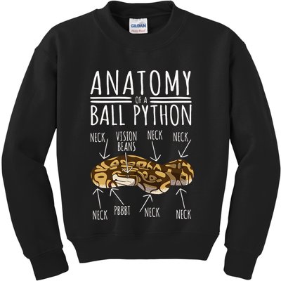 Python Snake Owner Anatomy Of A Ball Python Kids Sweatshirt