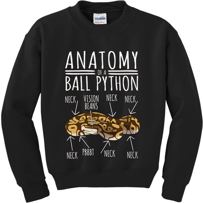 Python Snake Owner Anatomy Of A Ball Python Kids Sweatshirt