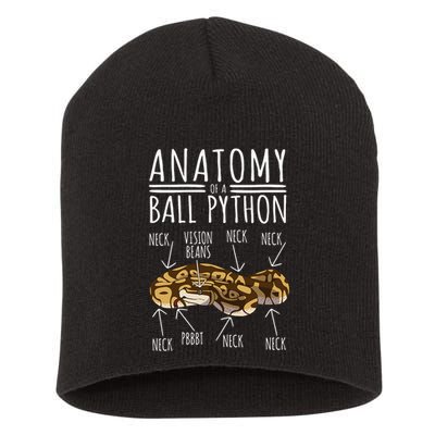 Python Snake Owner Anatomy Of A Ball Python Short Acrylic Beanie