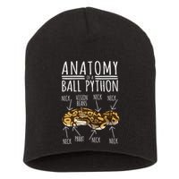 Python Snake Owner Anatomy Of A Ball Python Short Acrylic Beanie