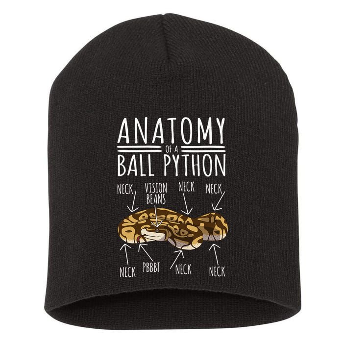 Python Snake Owner Anatomy Of A Ball Python Short Acrylic Beanie