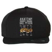 Python Snake Owner Anatomy Of A Ball Python Wool Snapback Cap
