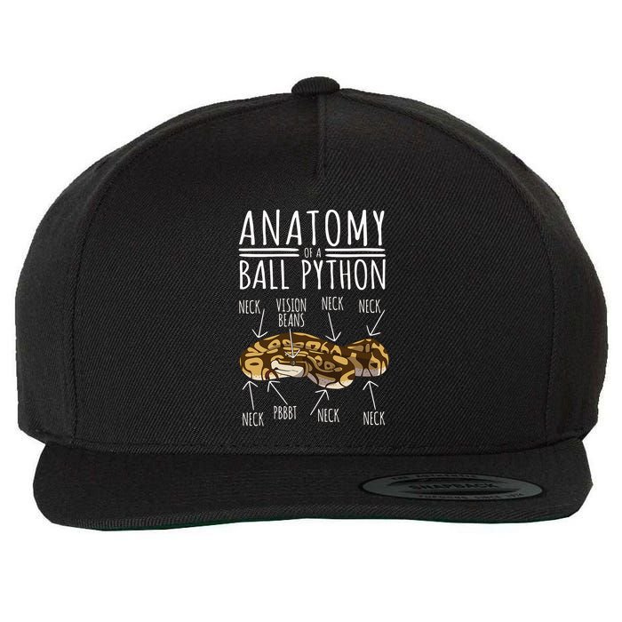Python Snake Owner Anatomy Of A Ball Python Wool Snapback Cap