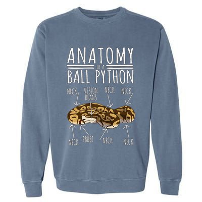 Python Snake Owner Anatomy Of A Ball Python Garment-Dyed Sweatshirt
