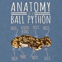 Python Snake Owner Anatomy Of A Ball Python Garment-Dyed Sweatshirt