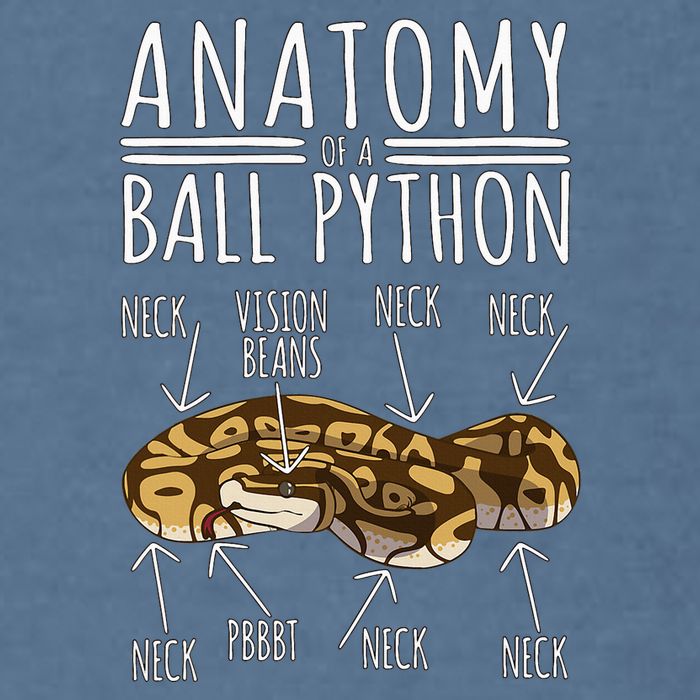 Python Snake Owner Anatomy Of A Ball Python Garment-Dyed Sweatshirt