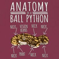 Python Snake Owner Anatomy Of A Ball Python 16oz Travel Tumbler