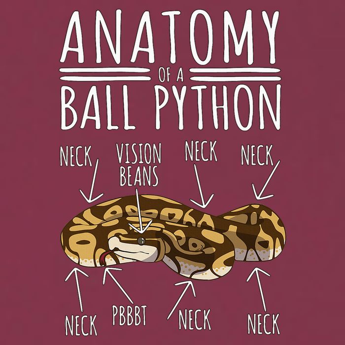 Python Snake Owner Anatomy Of A Ball Python 16oz Travel Tumbler