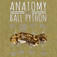 Python Snake Owner Anatomy Of A Ball Python Garment-Dyed Women's Muscle Tee