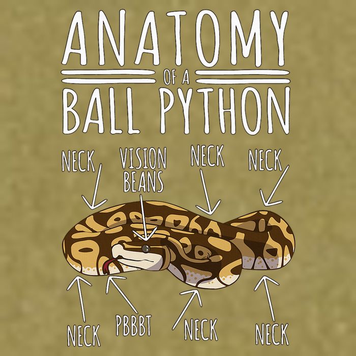 Python Snake Owner Anatomy Of A Ball Python Garment-Dyed Women's Muscle Tee