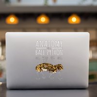 Python Snake Owner Anatomy Of A Ball Python Permanent Decal Sticker
