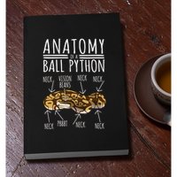 Python Snake Owner Anatomy Of A Ball Python Permanent Decal Sticker