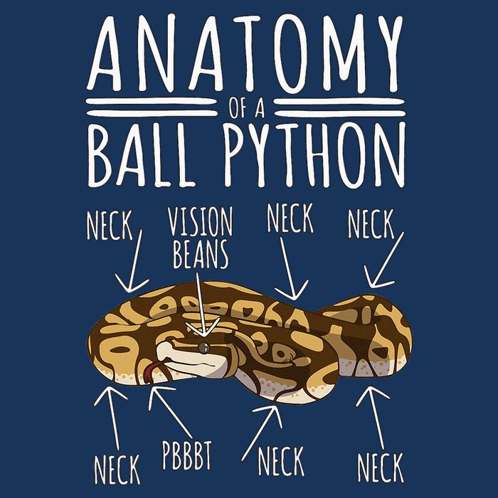 Python Snake Owner Anatomy Of A Ball Python Infant Baby Jersey Bodysuit