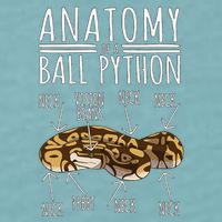 Python Snake Owner Anatomy Of A Ball Python Sueded Cloud Jersey T-Shirt