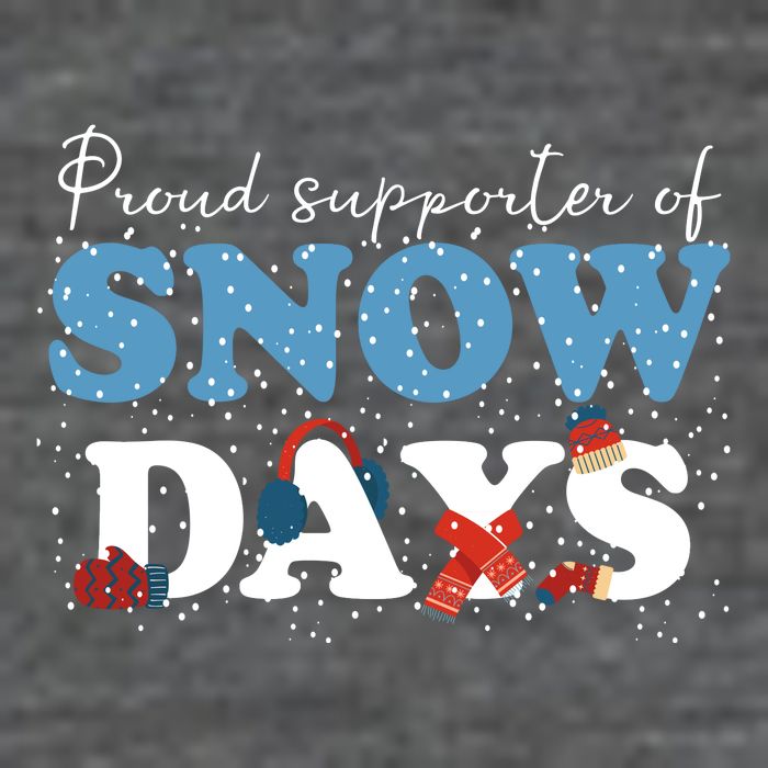 Proud Supporter Of Snow Days Funny Winter Wool Snapback Cap