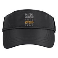 Python Snake Owner Anatomy Of A Ball Python Adult Drive Performance Visor