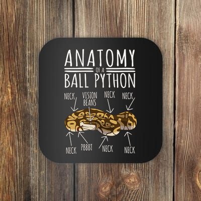 Python Snake Owner Anatomy Of A Ball Python Coaster