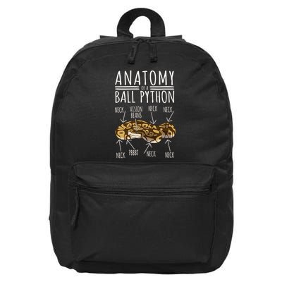 Python Snake Owner Anatomy Of A Ball Python 16 in Basic Backpack