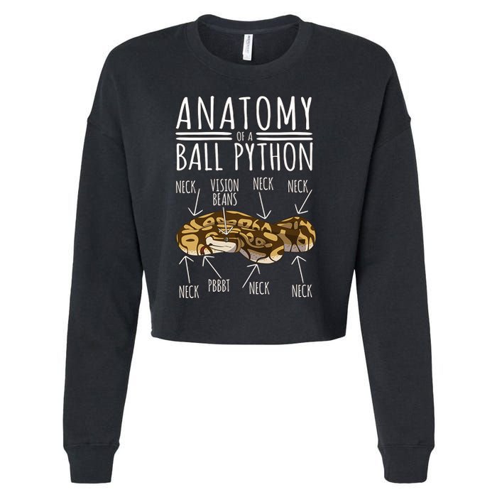 Python Snake Owner Anatomy Of A Ball Python Cropped Pullover Crew