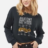 Python Snake Owner Anatomy Of A Ball Python Cropped Pullover Crew