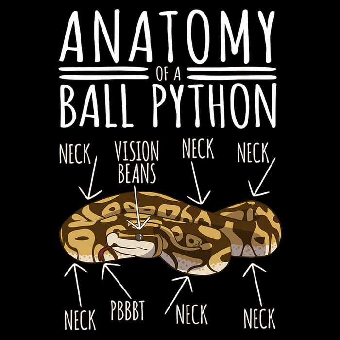 Python Snake Owner Anatomy Of A Ball Python Full Zip Hoodie