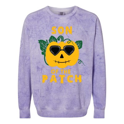 Pumpkin Son Of The Patch Halloween Matching Family Pj Colorblast Crewneck Sweatshirt