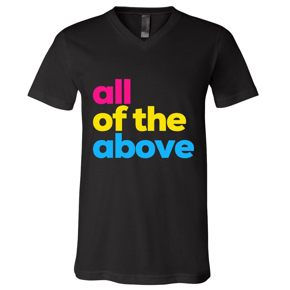 Pansexual Subtle Pan All Of The Above Lgbtq Pride Month V-Neck T-Shirt